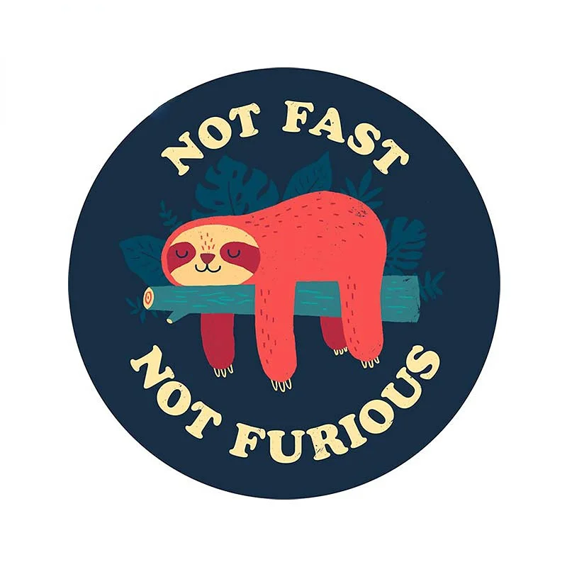 Car Accessories On Amazon - 13cm Not Fast Not Furious Trunk