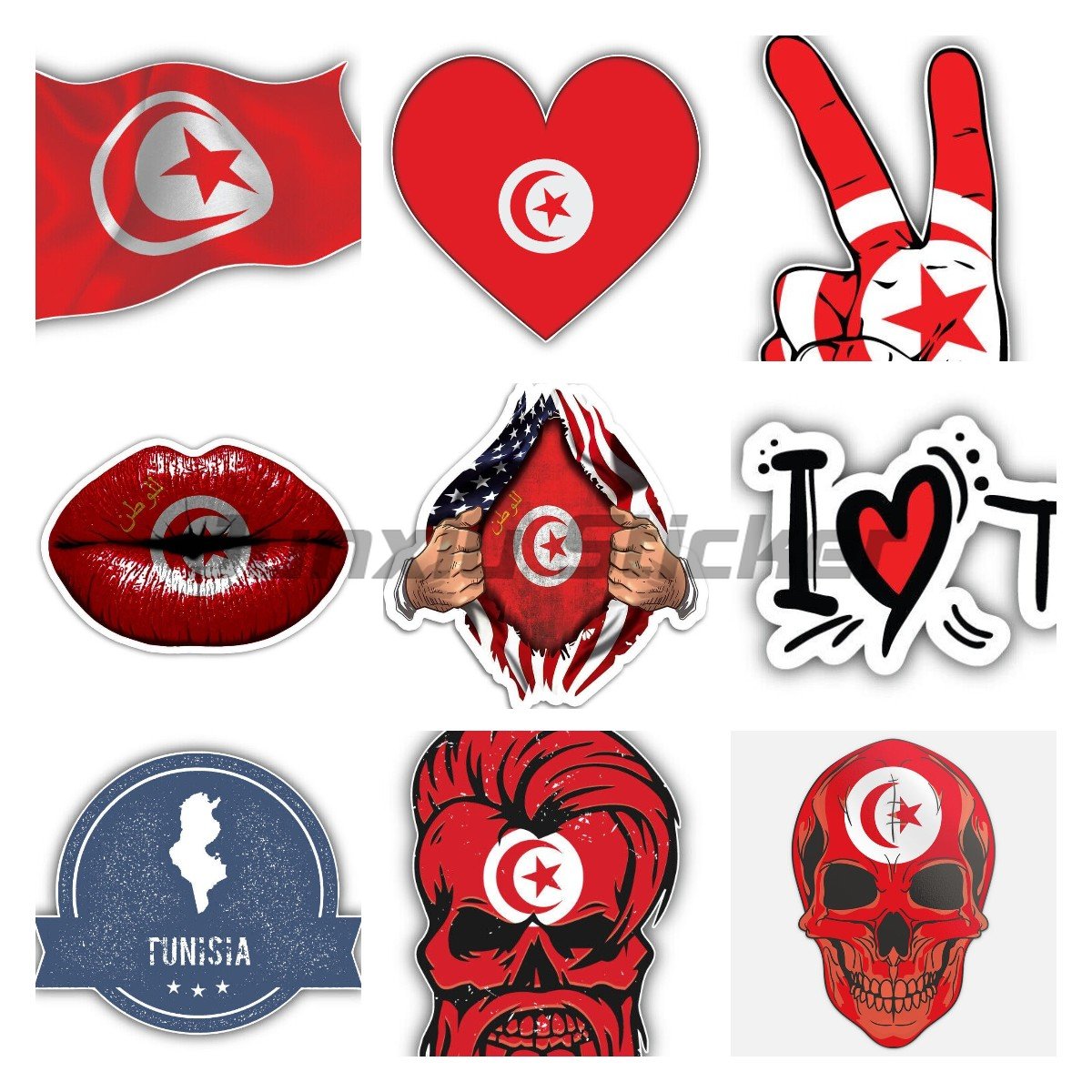Tunisia National Flag Sticker  - Car Accessories Malaysia 评论和价格